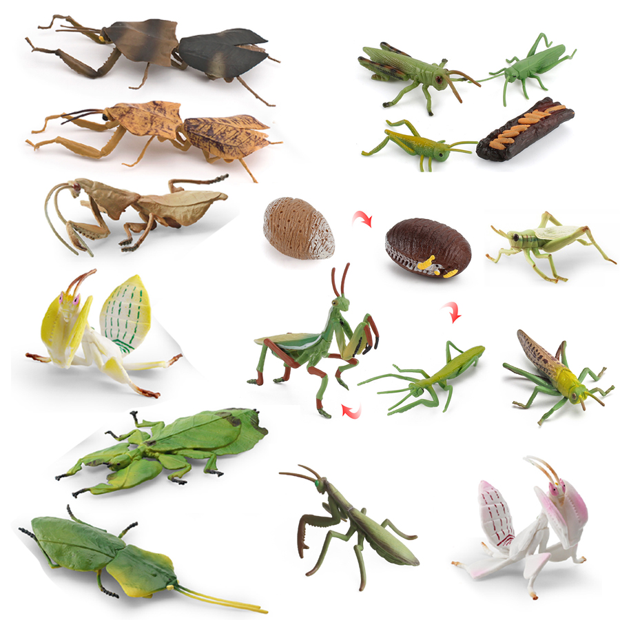 Kids Educational Gadget - Modelo Realista de Mantis Orquídea, Mantis