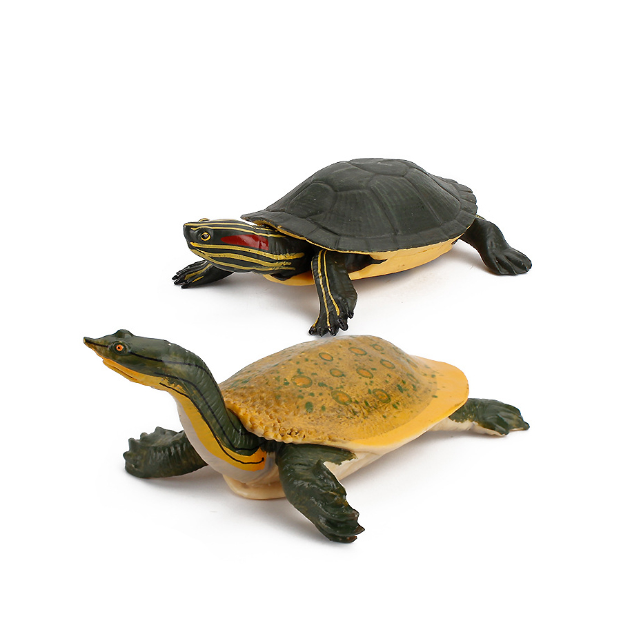 Simulação chinesa softshell le - Kids Educational Gadget avaliação e preço