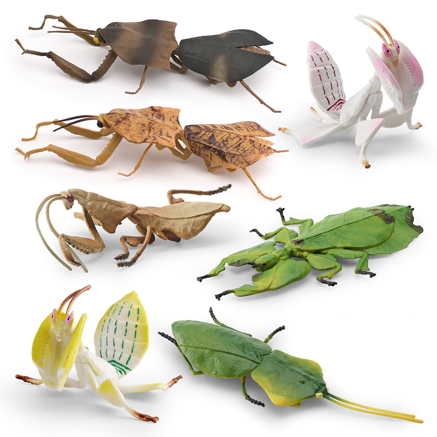 Modelo Realista de Mantis Orqu - Kids Educational Gadget avaliação e preço
