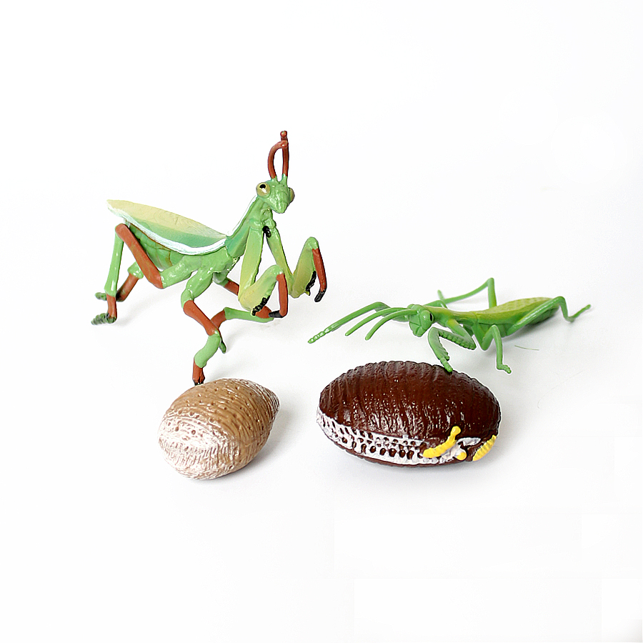 Modelo Realista de Mantis Orqu - Kids Educational Gadget avaliação e preço